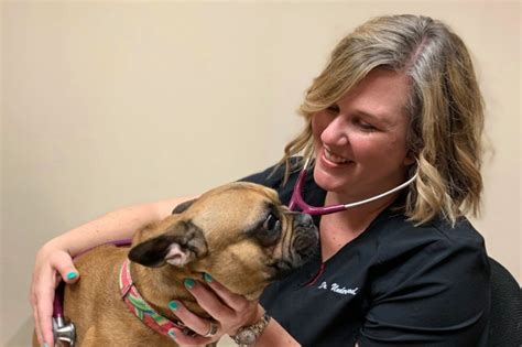 gtbet.com,Veterinarian in Georgetown, TX 